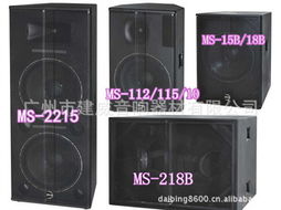 rvs,專業(yè)工程音響,演出音響,遠(yuǎn)程音響 舞臺專業(yè)音響 工程音響價格